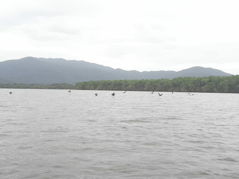 Pedrinhas Beach-Ilha Comprida必去景点