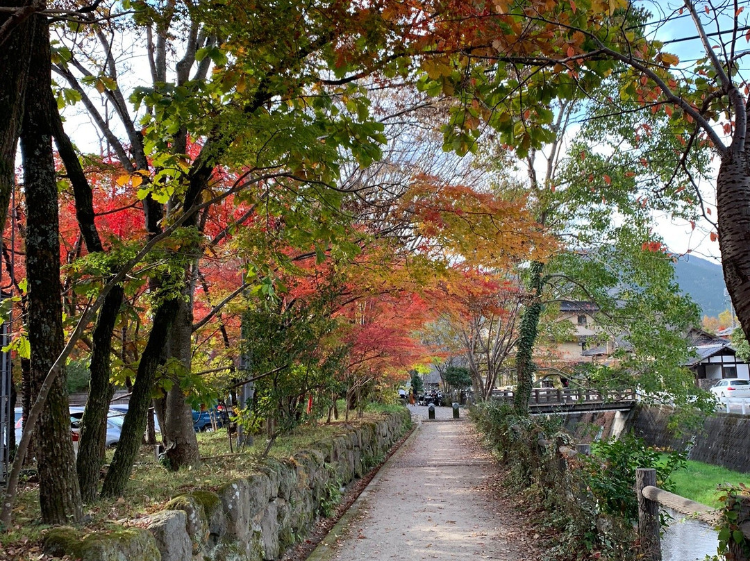 Yunotsubo Shoten-由布市必去景点