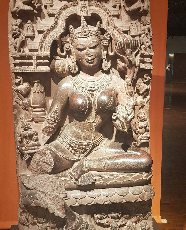 Bihar Museum-巴特那必去景点