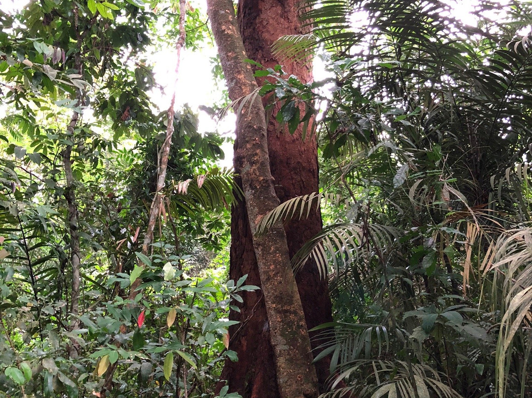 Samauma Park Hotel主图