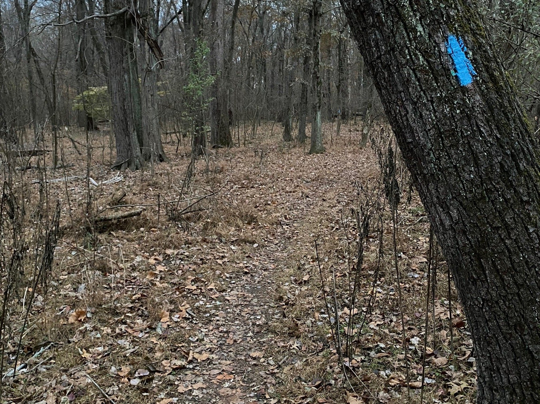 Algonkian Regional Park景点图片