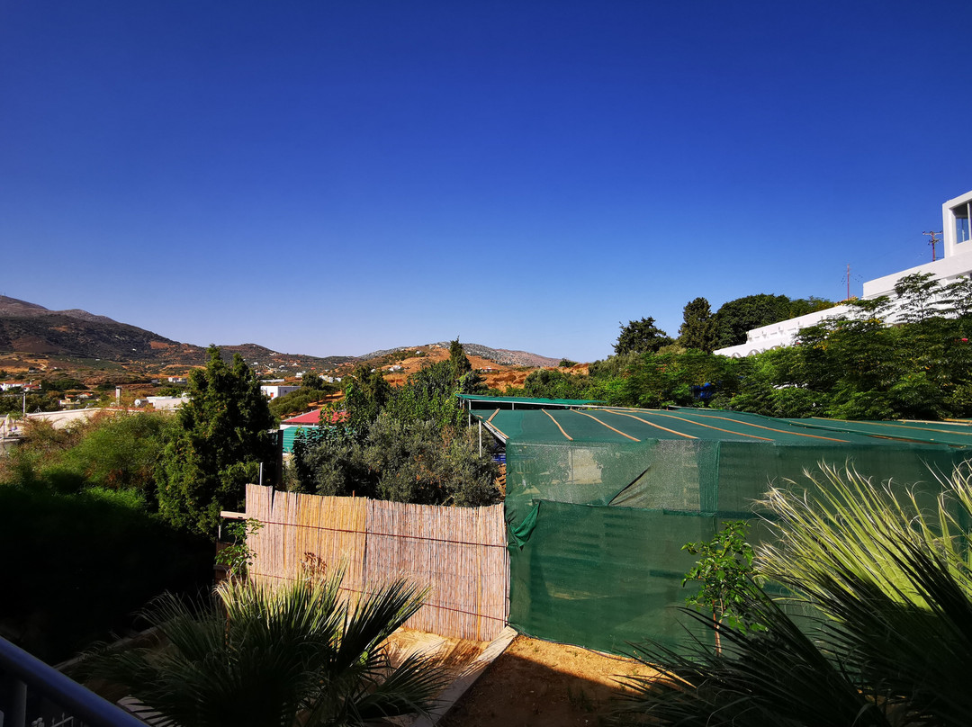 Eva Mare Hotel & Suites主图