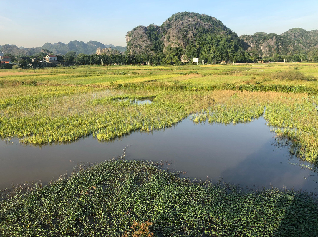 Liberty Hall Tam Coc Hotel & Villa主图