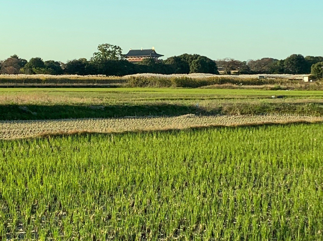 The Site of Heijokyo Rajomon景点图片