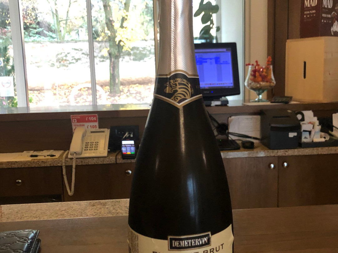 Hotel Botrytis主图