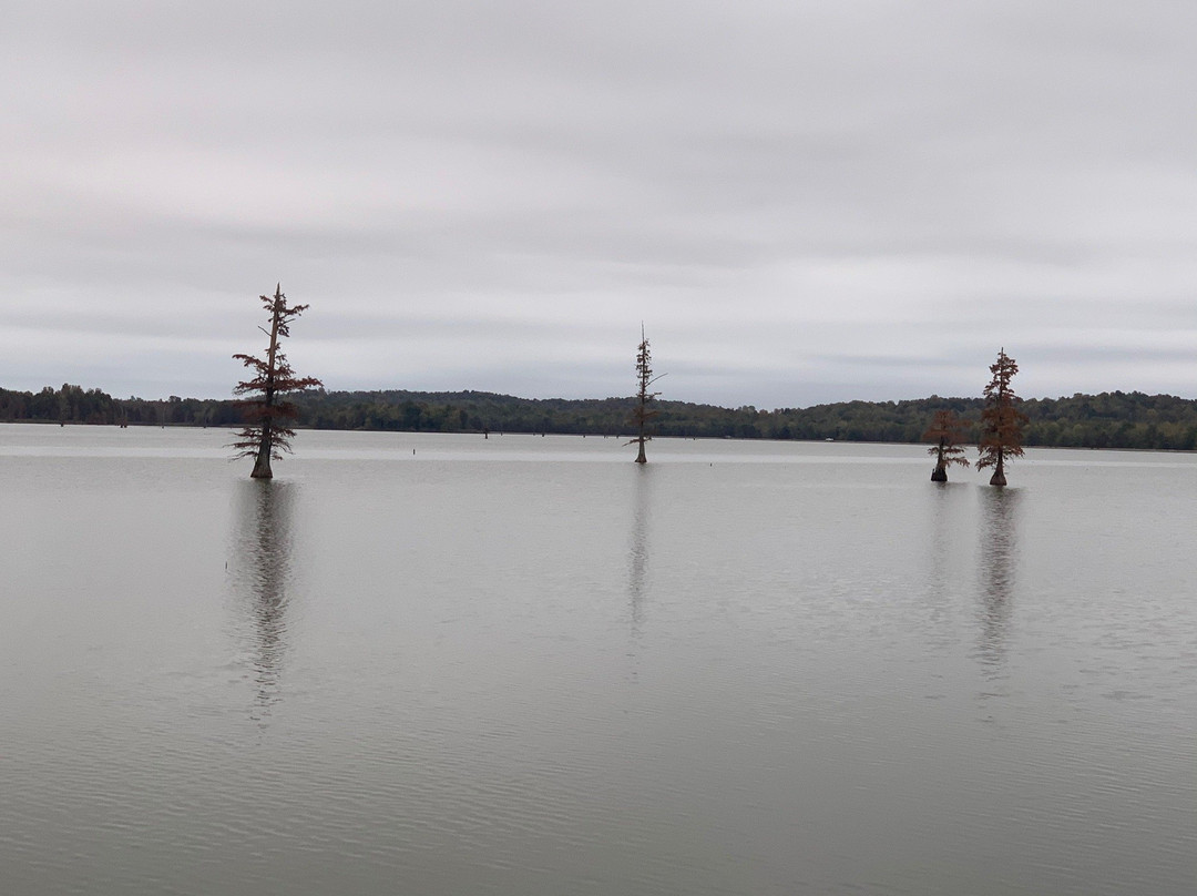 Mermet Lake State Fish and Wildlife Are-Belknap必去景点
