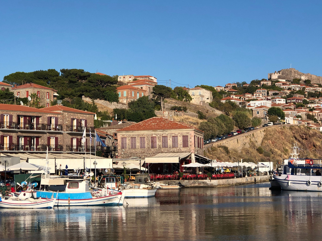 Sea Horse Hotel主图