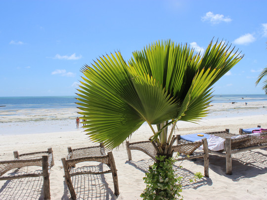 Blu Marlin Village主图