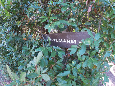 Vlogging Tour-奇维塔韦基亚必去景点