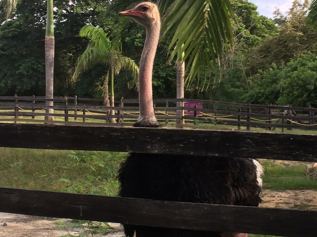Parque nacional de la Uva-La Union必去景点