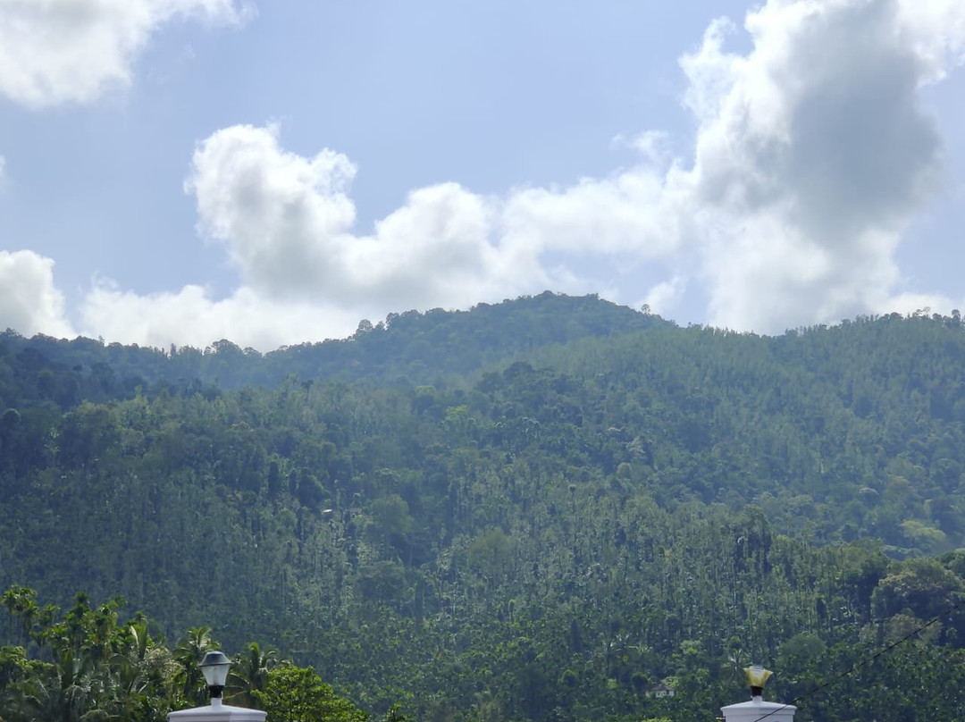 Mudra Homestay主图