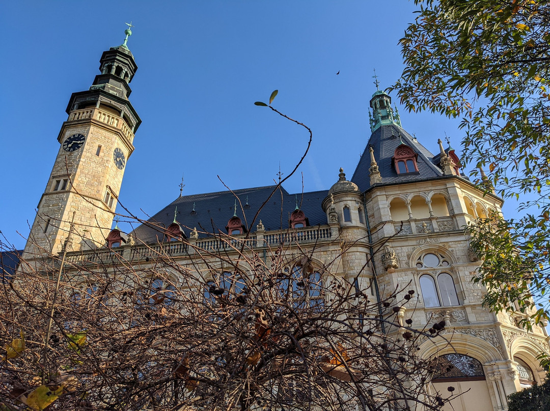 The Museum of North Bohemia-利贝雷茨必去景点