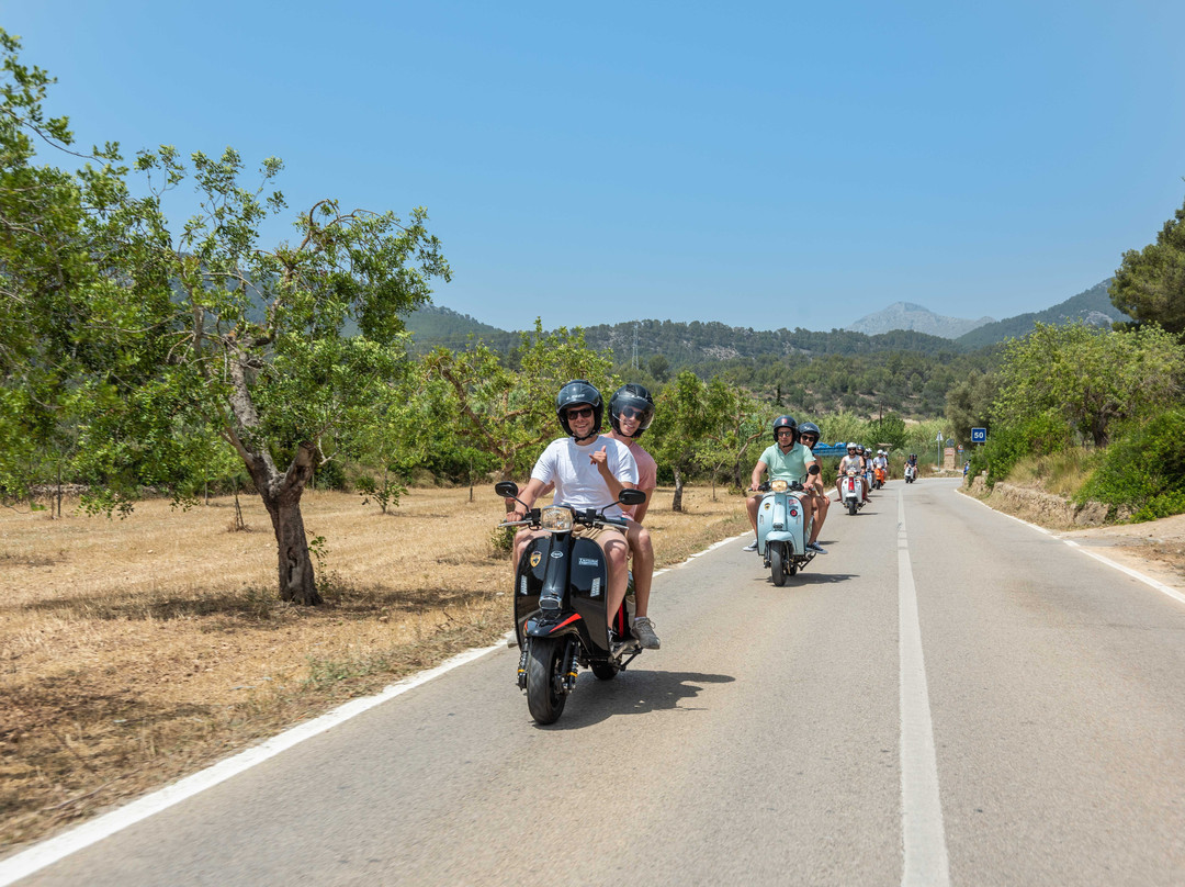 Loco Wheels-马洛卡帕尔马必去景点