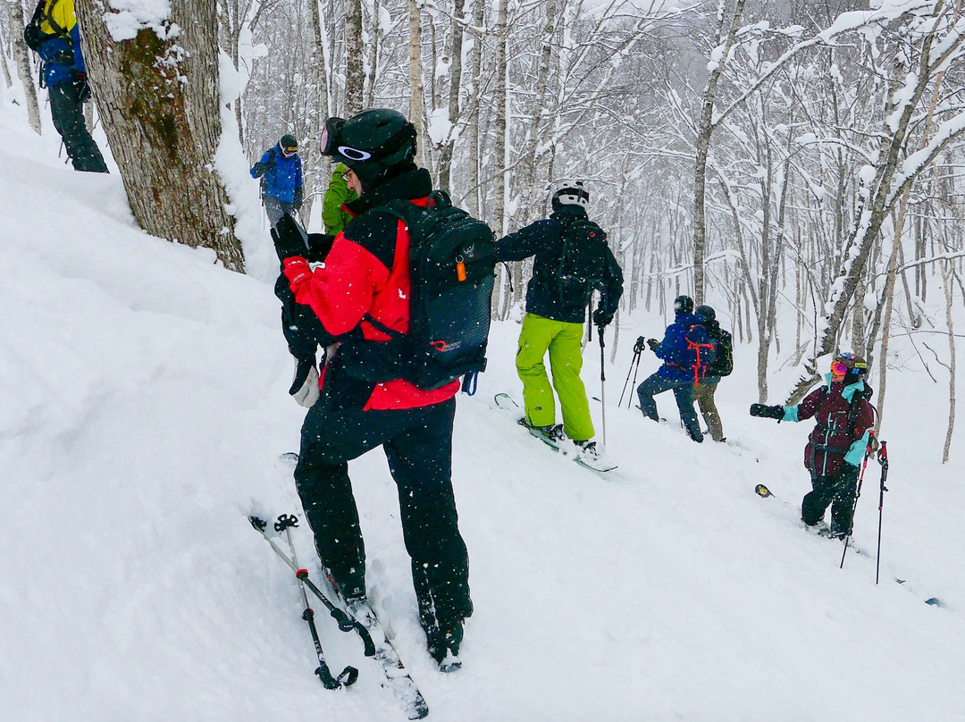 Japan Powder Connection-二世谷町必去景点