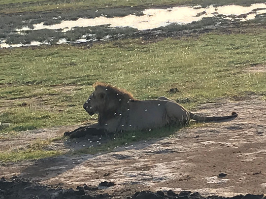 Desmus Safaris Kenya-瓦塔木必去景点