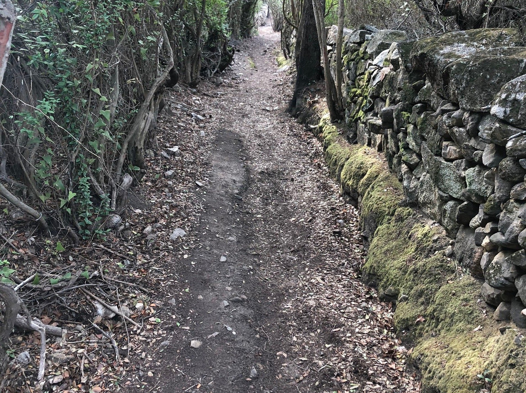Sentier du Patrimoine景点图片