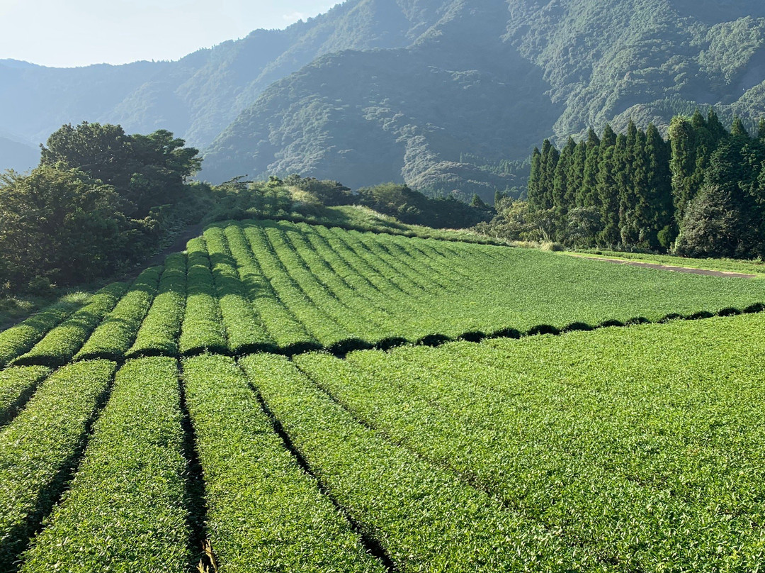 Kitaura Rinkai Park Kitaurara Umi Ichiba-延冈市必去景点