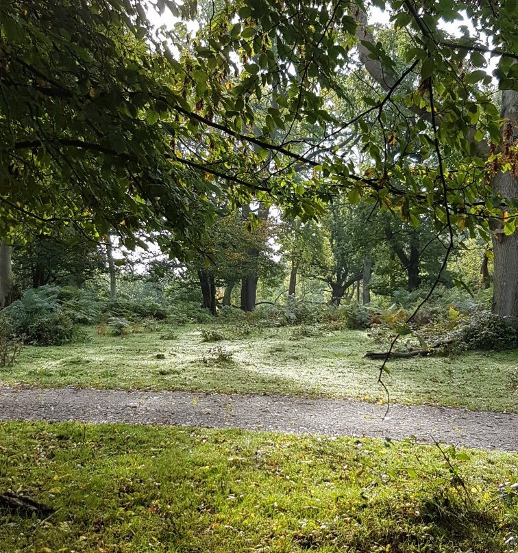 Cobham Wood And Mausoleum景点图片