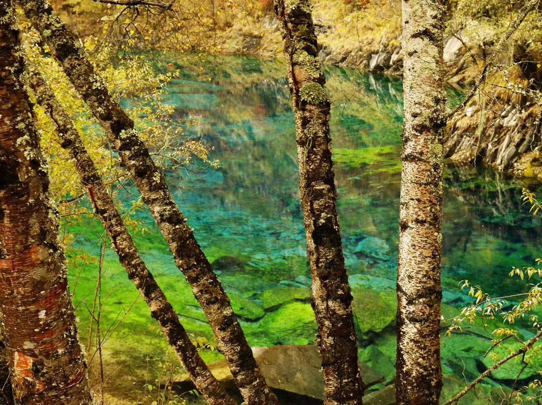 松坪沟景点图片