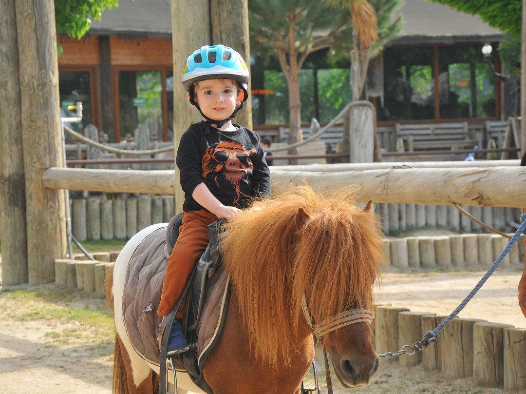 Laren Safari Park景点图片