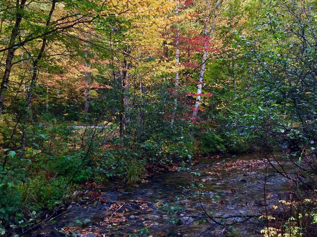 Baxter State Park景点图片