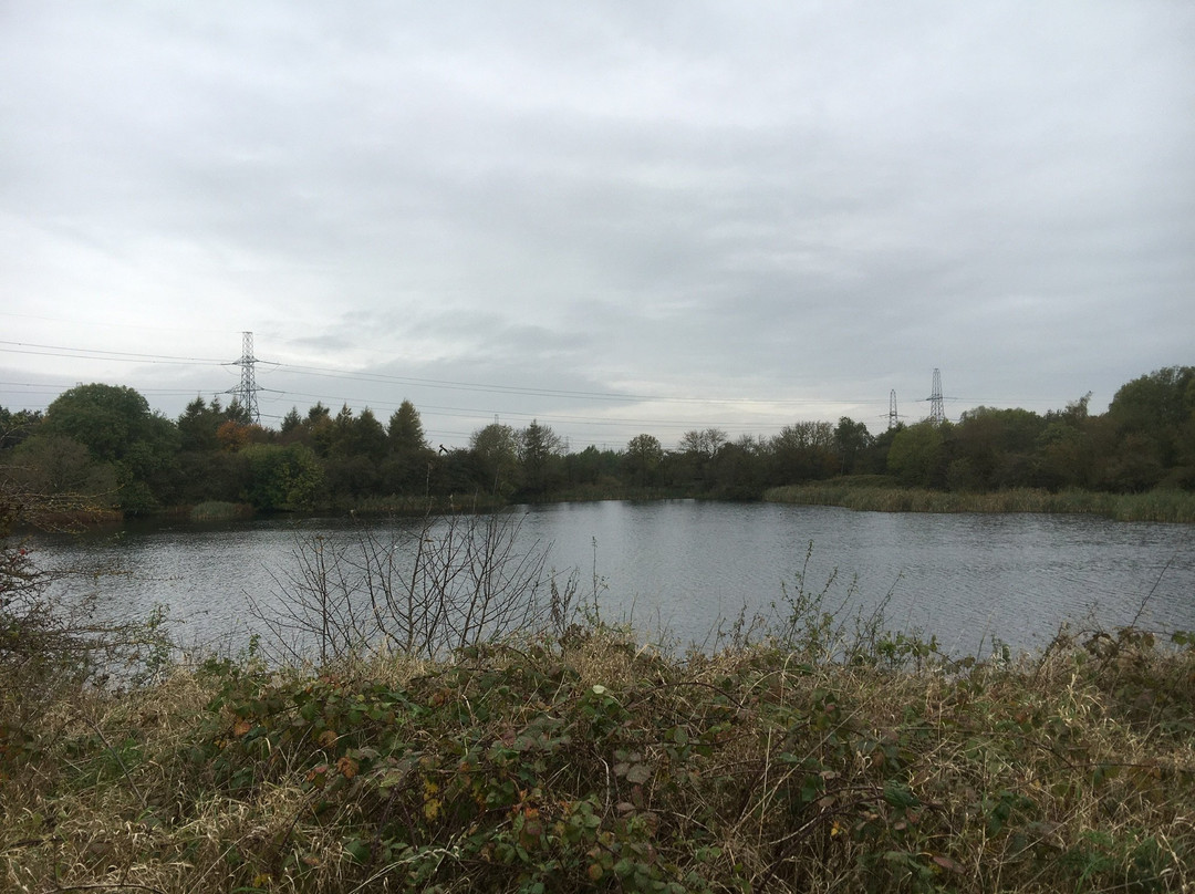 Cowpen Bewley Woodland Park-Cowpen Bewley必去景点