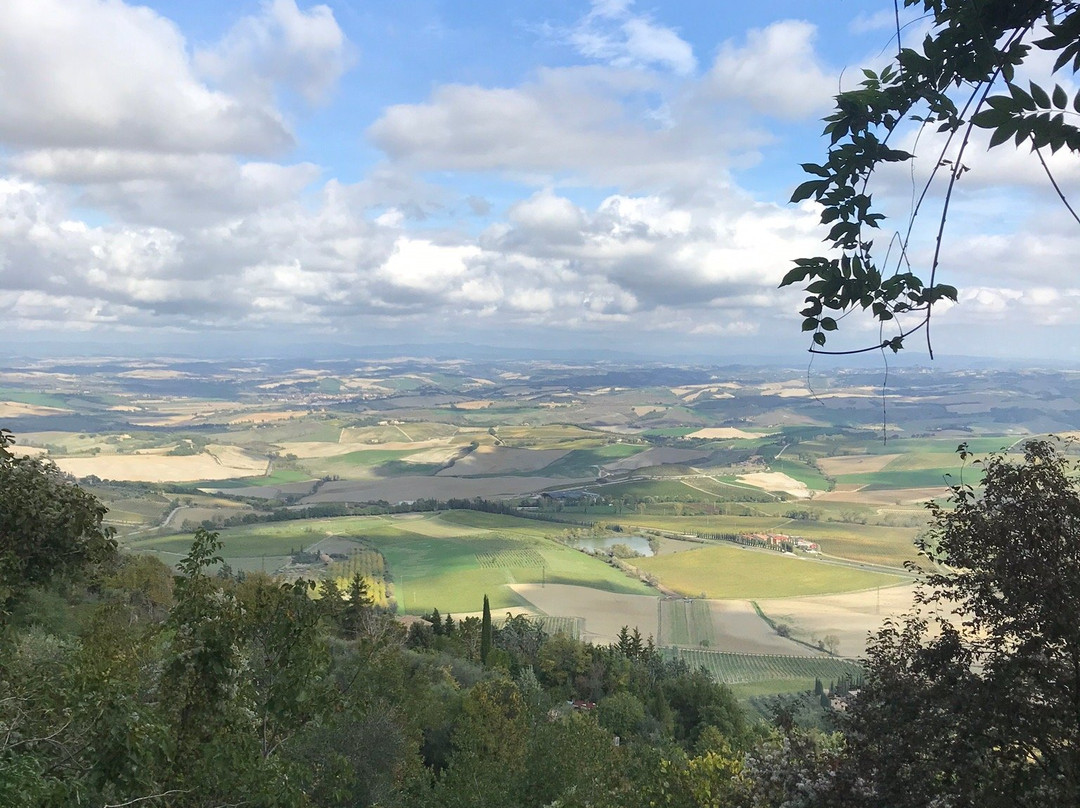 Azienda Agricola Padelletti-蒙塔尔奇诺必去景点