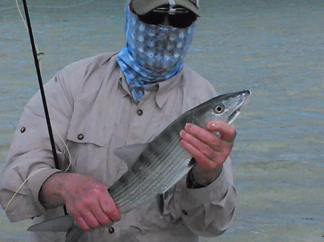 D.B. Tours-普罗维登西亚莱斯必去景点