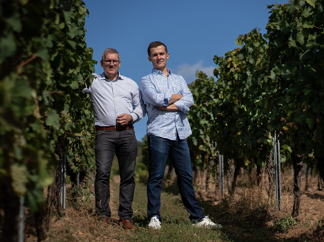 Weingut Dr. Corvers-Kauter景点图片