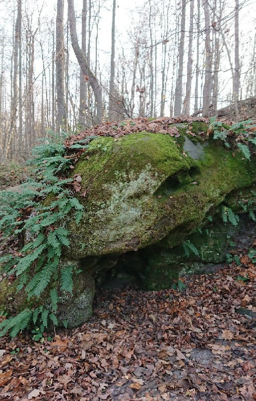 Chortovo Gorodische-Kozelsk必去景点
