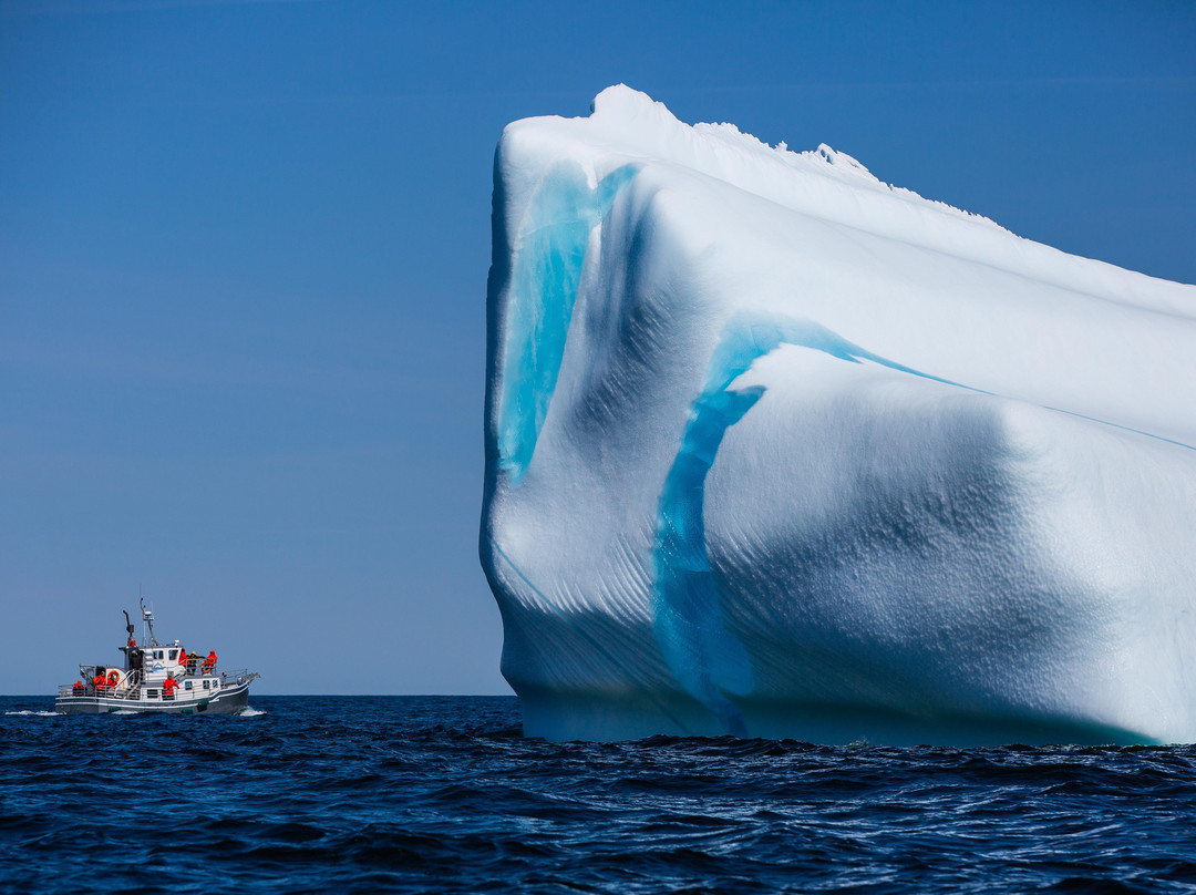 Newfoundland Photo Tours