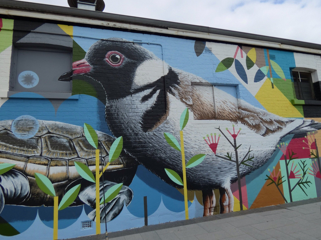 Public Silo Trail-Katanning必去景点