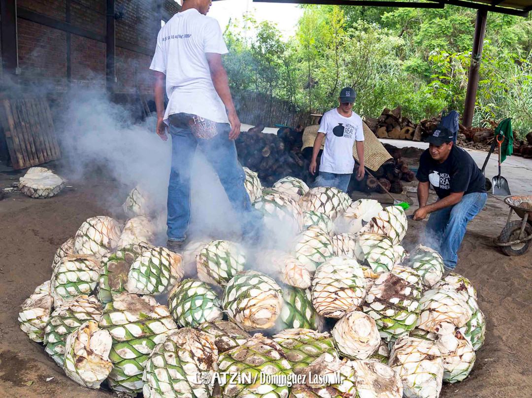Ocotlán de Morelos旅游景点-Mezcal Real Minero