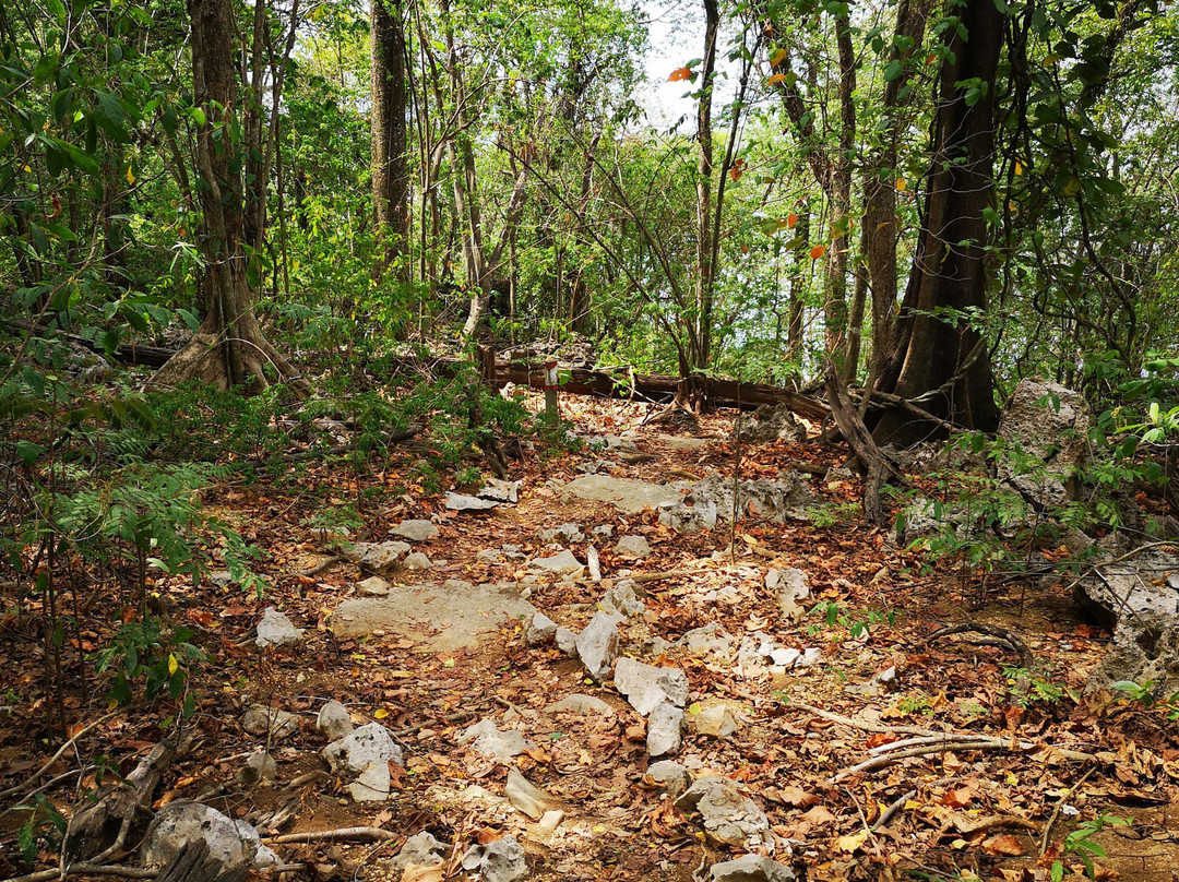 Christmas Island National Park-圣诞岛必去景点