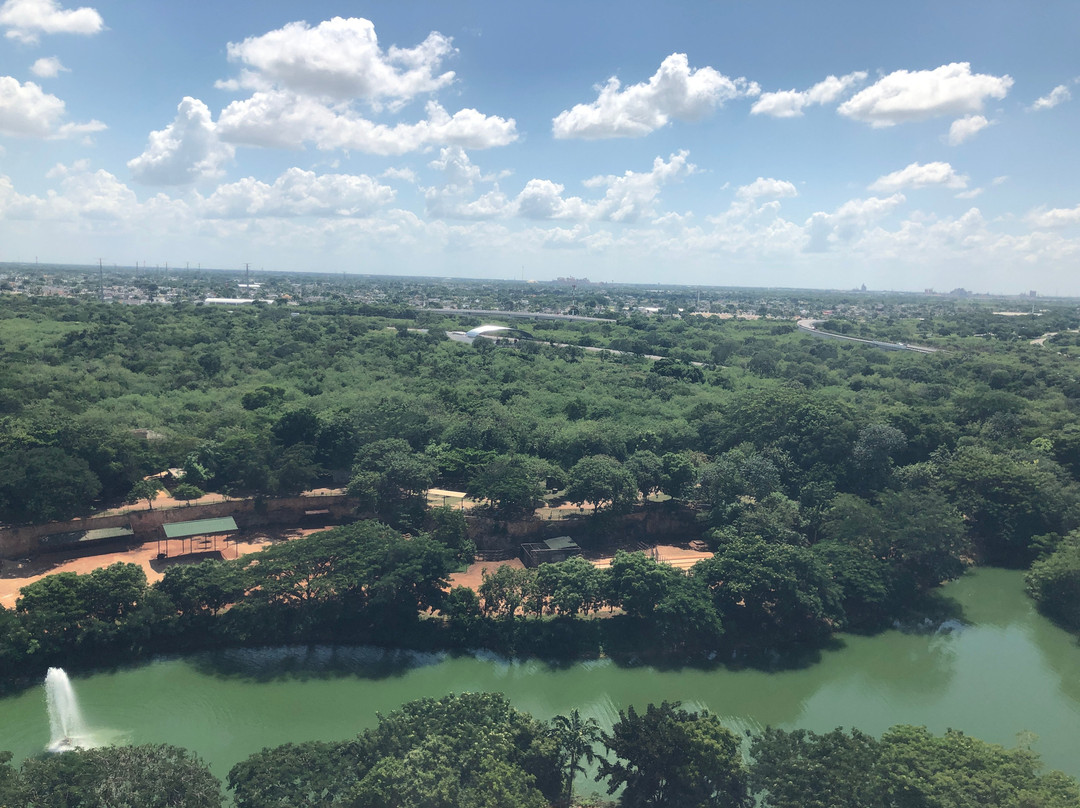 Parque Animaya景点图片