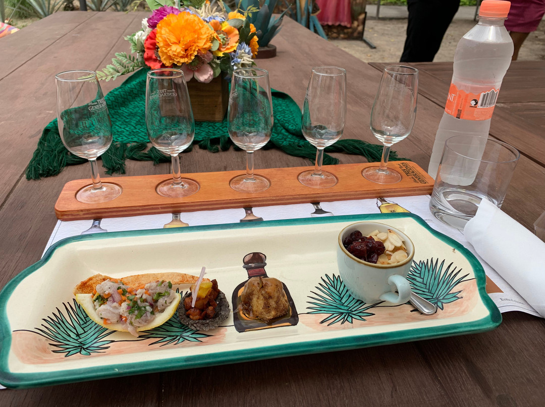 Tequila Tour Vidanta-新瓦雅塔必去景点