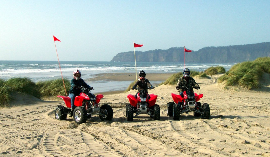 Sandlake Tsunami ATV Rental, LLC景点图片