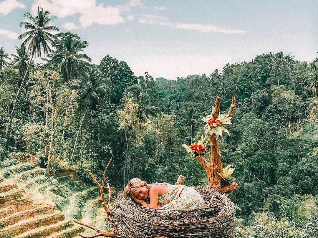 Aloha Ubud Swing-乌布必去景点