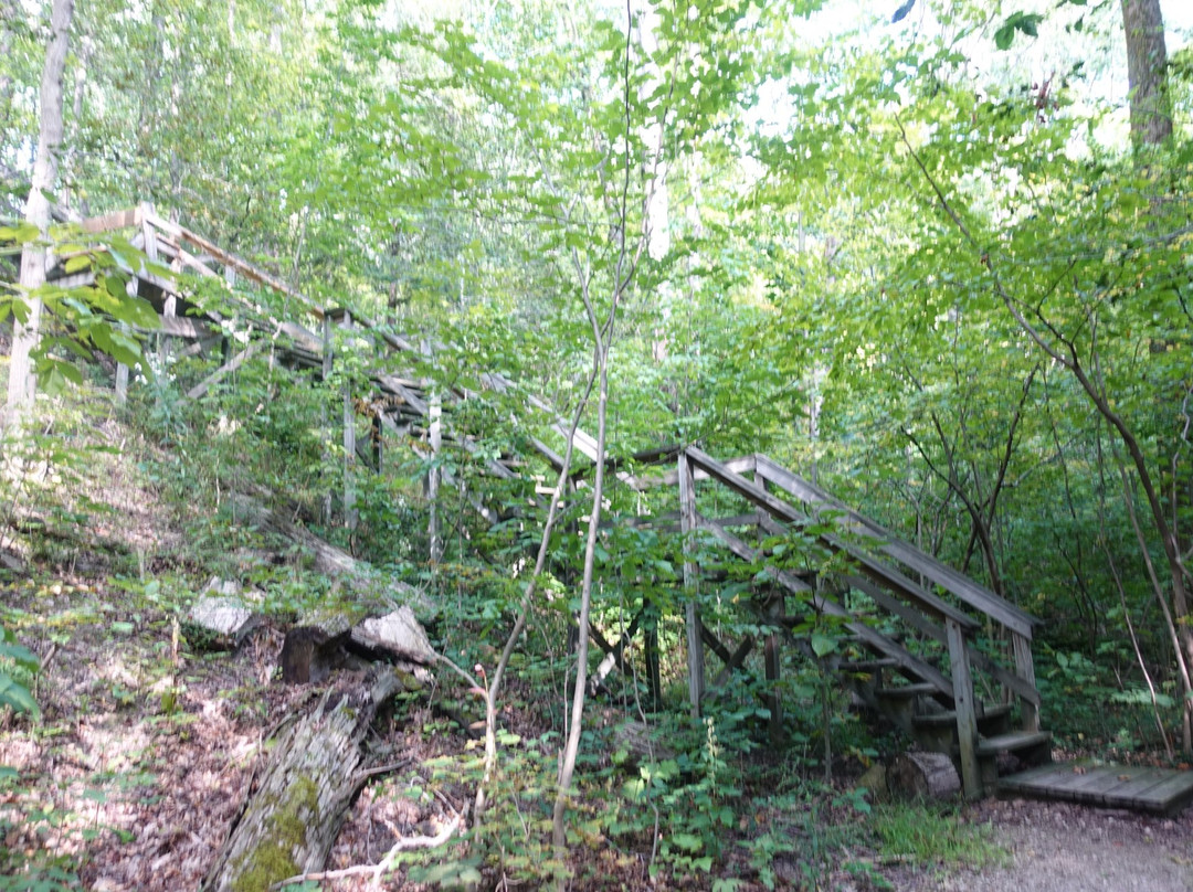 Chardon旅游景点-Whitlam Woods