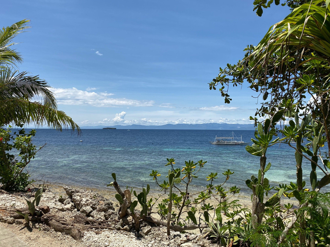 提波罗海滩度假村主图