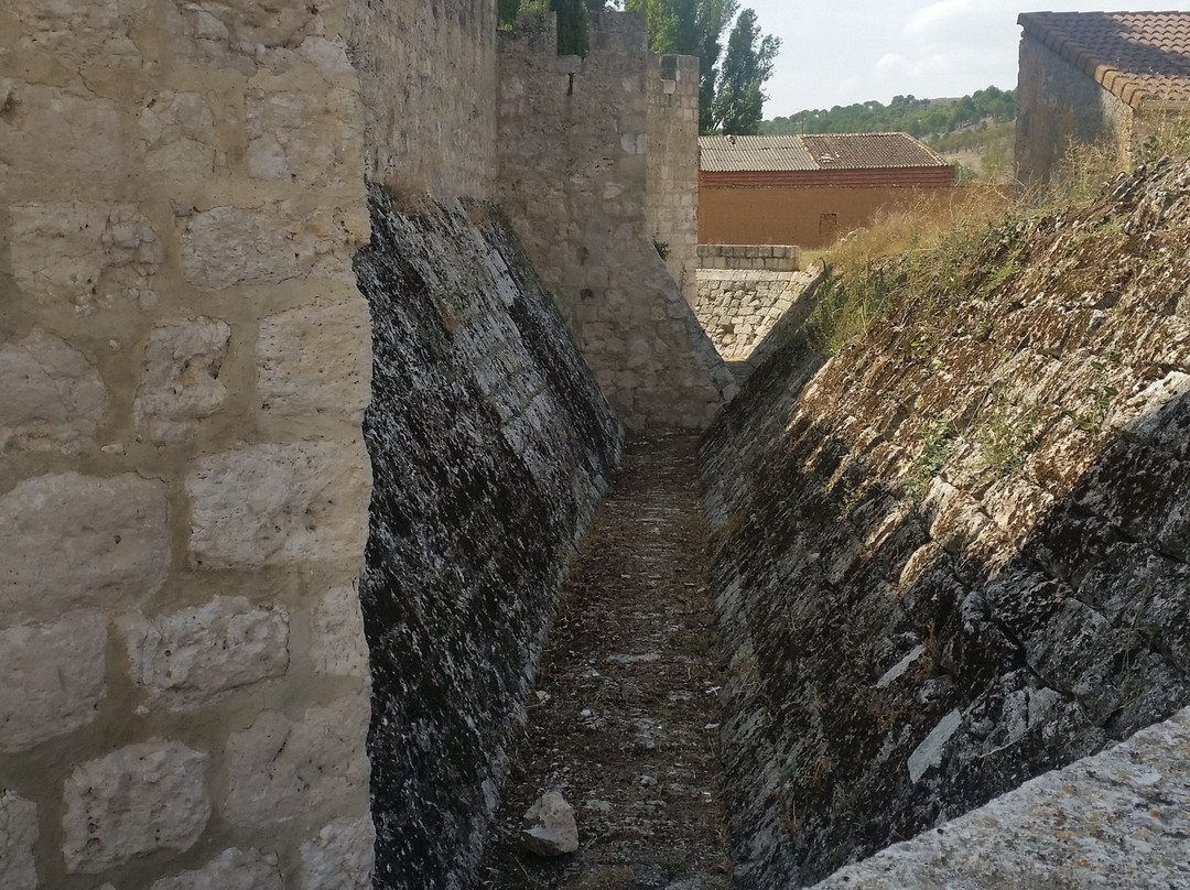 Castillo de los Aguilar-Encinas de Esgueva必去景点