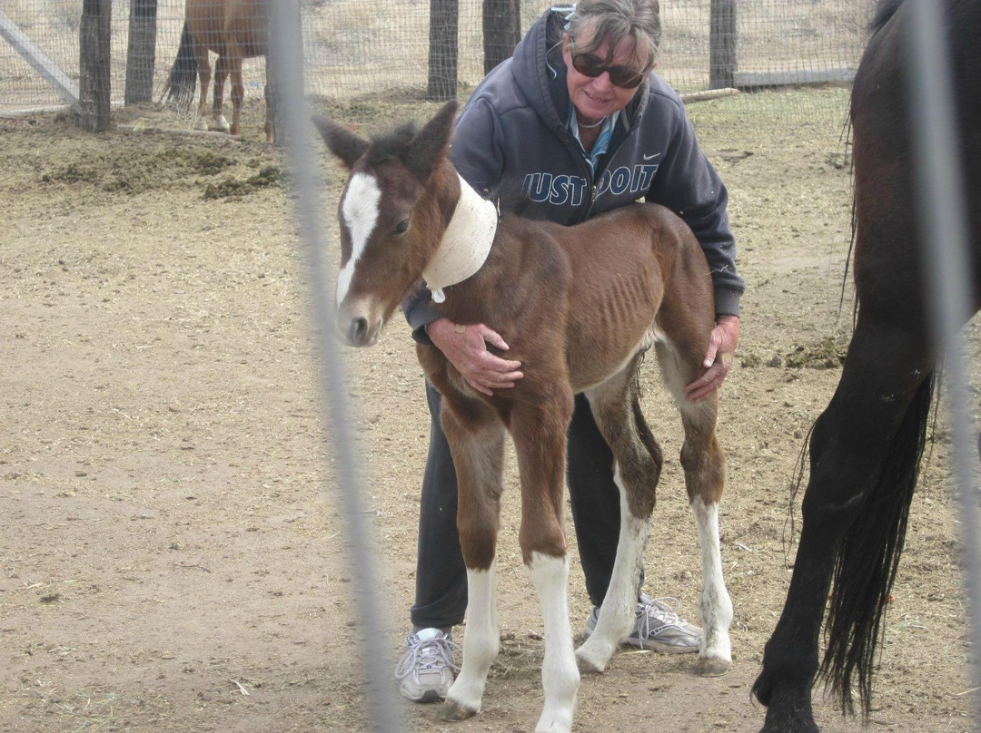 Rancho Red Rock-里诺必去景点