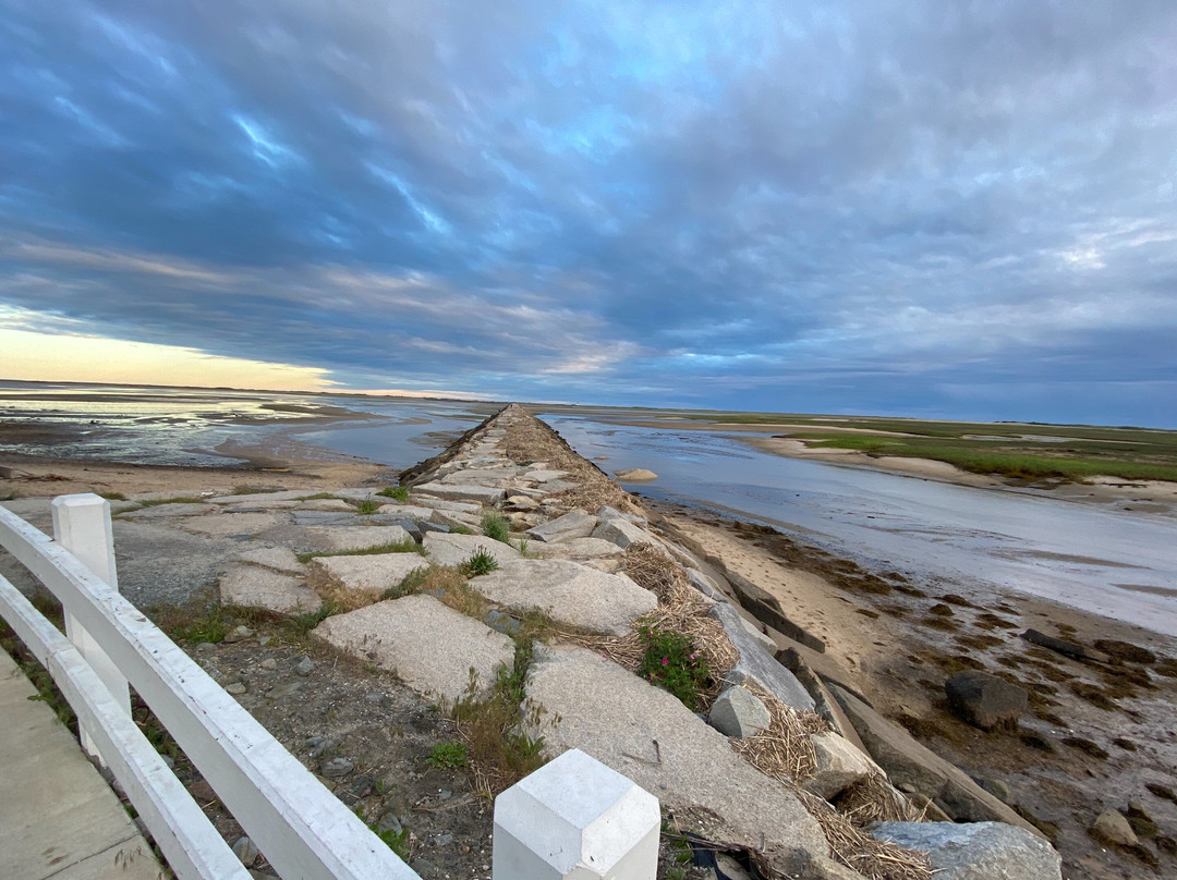 Private Open-Air Pedicab Tour of Provincetown-普罗温斯敦必去景点