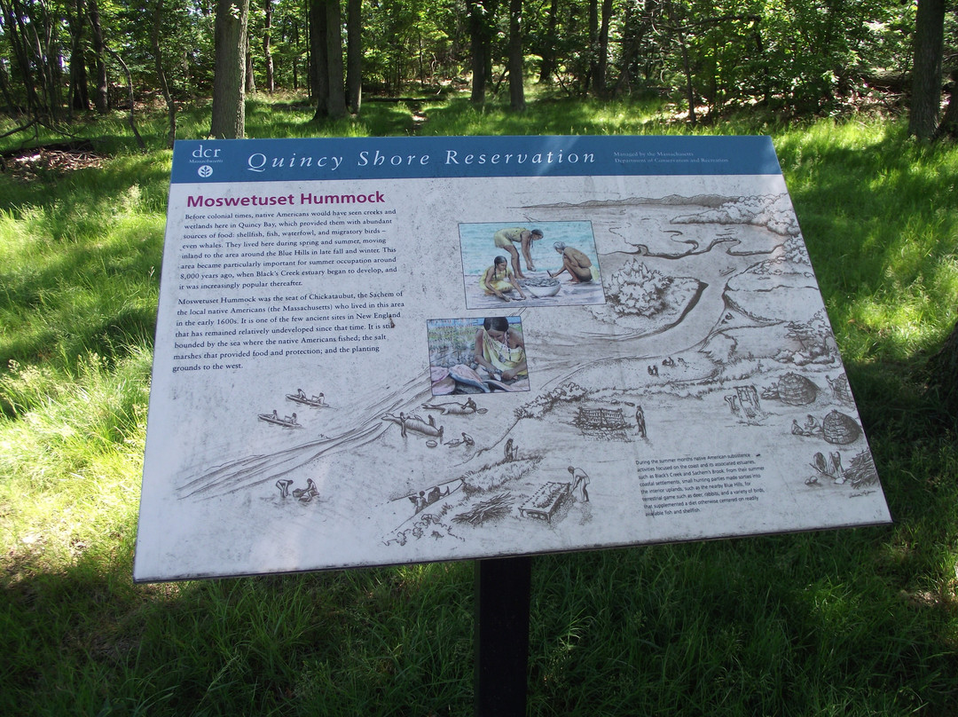 The Moswetuset Hummock