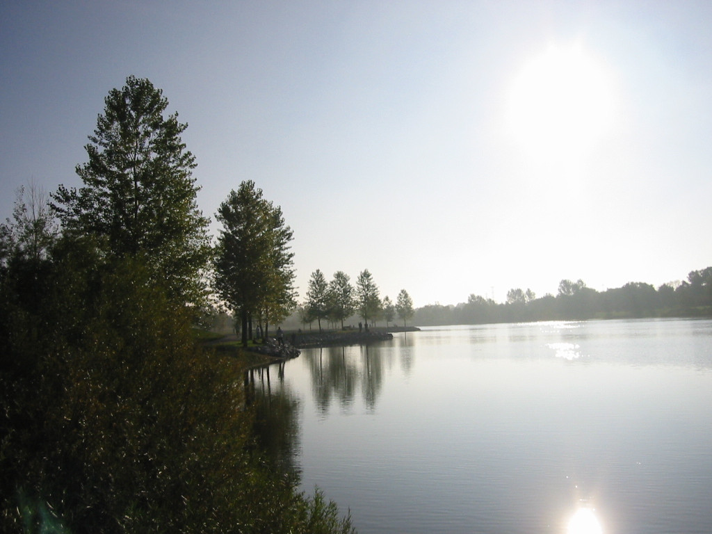 Baumann Park & Lake景点图片