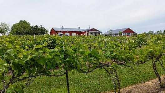 Stone Pillar Vineyard & Winery景点图片