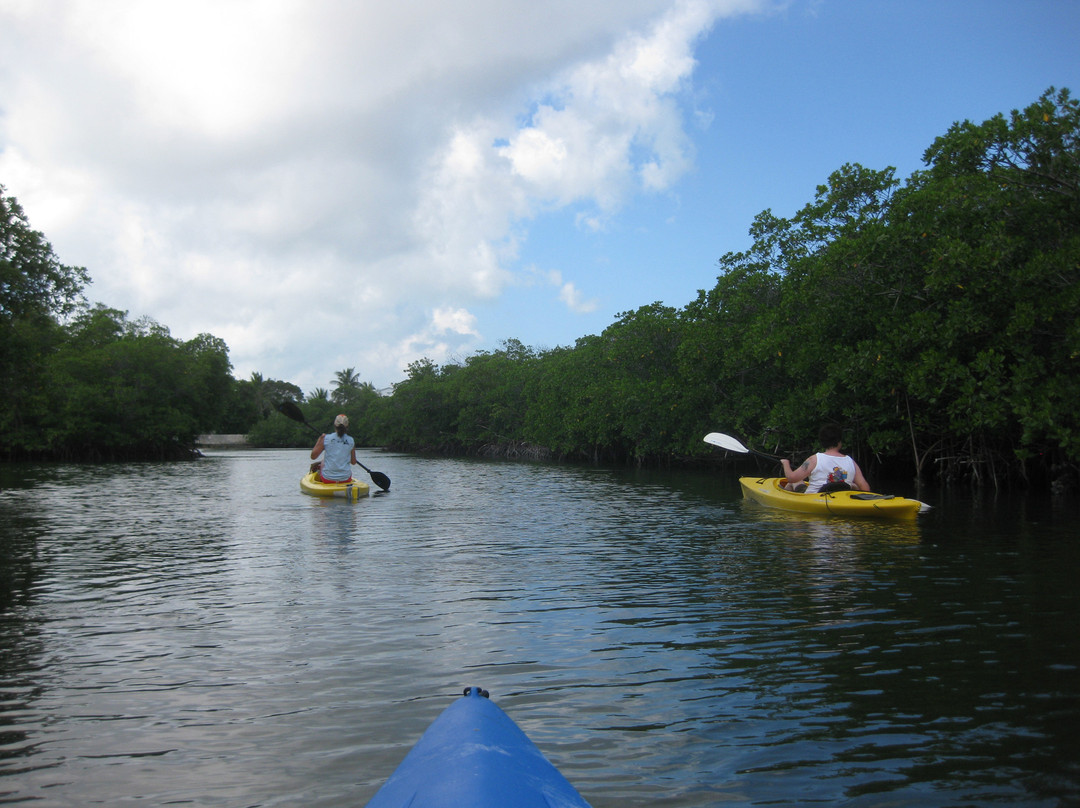Lazy Dog Adventures-基韦斯特必去景点