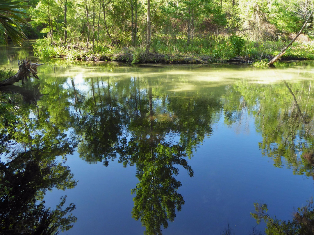 Rock Springs Run State Reserve景点图片