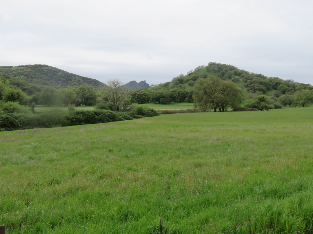 Middle Mountain Foundation Interpretive Program Hikes - Tours景点图片