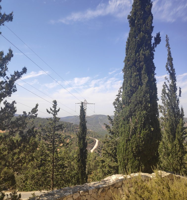 The Arthur Rubinstein Memorial-耶路撒冷必去景点